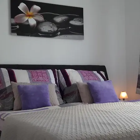 Deluxe Boc Apartment *